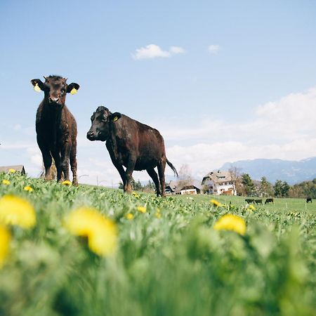 Alpin Farm Birke - Oberweidacherhof 콜라보 외부 사진