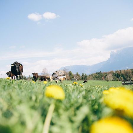 Alpin Farm Birke - Oberweidacherhof 콜라보 외부 사진